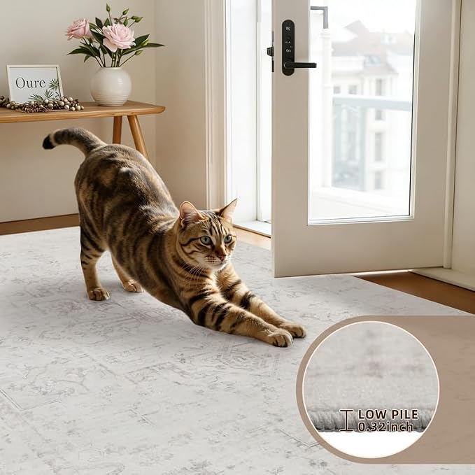 8x10 Area Rugs Living Room: Bedroom Washable Carpet Neutral Cream | Large - Image 9