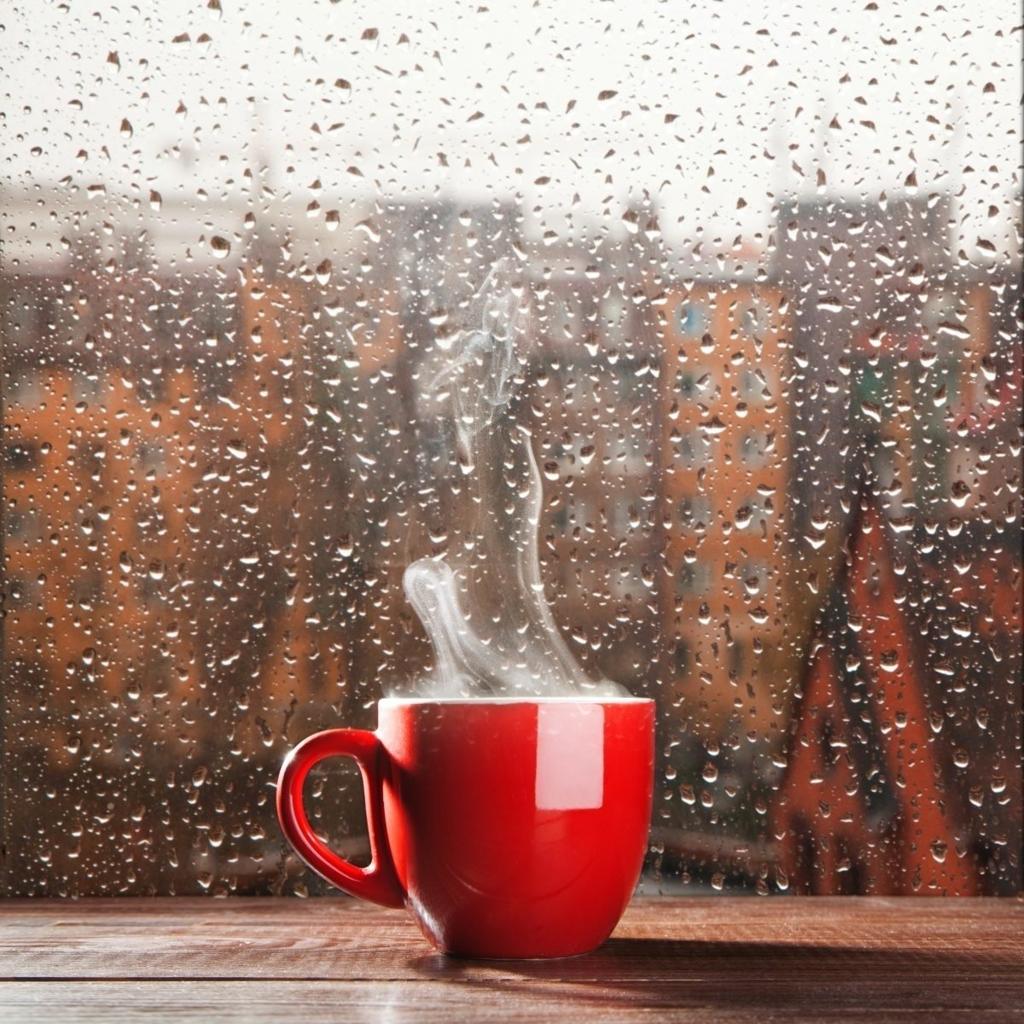 🌧️ Rain, Coffee, and Quiet: Why We Love Cozy Days So Much