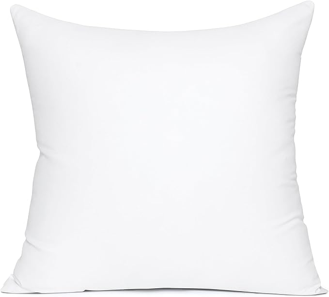 MIULEE 20x20 Pillow Insert, Premium Throw Pillow by MIULEE