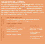 Grace Farms Organic Darjeeling Sunrise Black Tea, 16 Pyramid Sachets | Darjeeling & Orange | Fairtrade & Kosher |Gives Back 100% of Profits