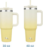 40 oz Tumbler with Handle and 2 Straws,2 in 1 Lid Insulated Water Bottle Stainless Steel Travel Coffee Mug,Lemon
