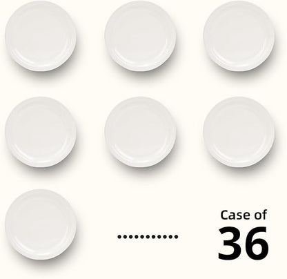 Stoneware Narrow Rim Commercial Grade Dinnerware, America White, Plate 8.25, Case of 36