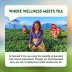 Tealeaf & Co. Lemon Ginger Green Tea with Ginger, Lemon Flavor, Orange Peel, Mint & Black Pepper - Organic Green Tea Bags with Fresh Herbs and Spices - Vegan - 100 Teabags (7.055oz/200gm)