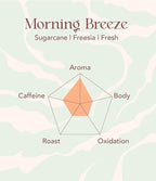 OOTINE | Morning Breeze Taiwan Oolong Tea (12 Sachets) | Lightly Oxidized for a Fresh, Green-Tea-Like Taste | Sugarcane & Freesia Notes | Hand-Picked Whole Leaves, Plastic-Free Sachets | Supports Gut Health & Multiple Infusions, Travel-Ready