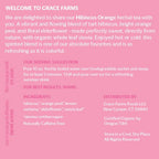 Grace Farms HIBISCUS ORANGE Herbal Tea (16 Pyramid Sachets) | Naturally Sweet, Reviving and Caffeine Free | Organic, Fair Trade and Kosher Certified | Delicious Iced Tea | Gives Back 100% of Profits