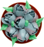 Restaurantware-Russian Piping Tip, 1 Petal Cake Decor Piping Tip - #31, Corrosion-Resistant, Stainless Steel Decorating Tip For Frosting, Dishwashable, Decorate Cupcakes, Cakes, or Cookies