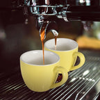 homEdge Mini Procelain Espresso Cup, 3 Ounces / 90 ml Tiny Coffee Mugs Demitasse for Espresso, Tea- Yellow