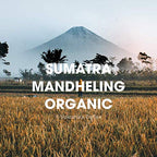 Sumatra Mandheling Coffee Beans, USDA Organic, Medium Roast, Ground, Fresh Roasted, 5 lbs
