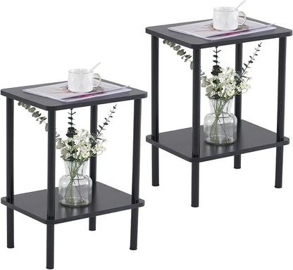 Apicizon 2 Tier End Table Set of 2, Small Side Table by APICIZON