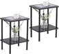 Apicizon 2 Tier End Table Set of 2, Small Side Table by APICIZON