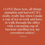 The Republic of Tea: Fall Harvest Tea Assortment Cube, 24 Tea Bags