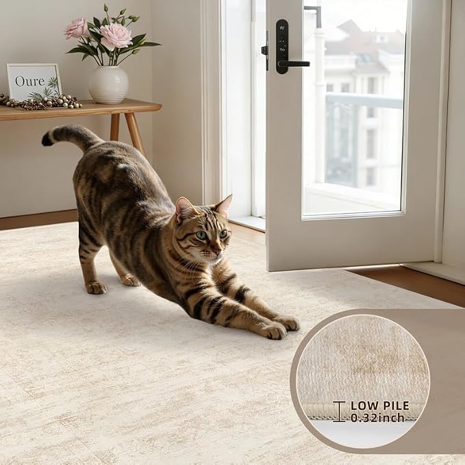 Round Area Rug Living Room: 8ft Washable Carpet Retro Beige | Vintage Boho - Image 6