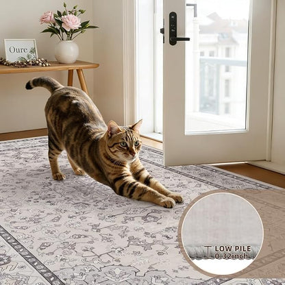 6x9 Area Rugs Living Room: Bedroom Washable Carpet Beige & Grey | Large Vintage - Image 7