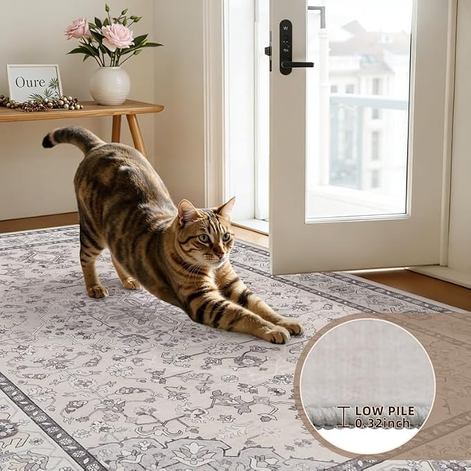 8x10 Area Rugs Living Room: Bedroom Washable Carpet Beige & Grey | Large - Image 9