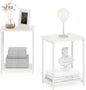 Furinno Simplistic Side Table Set of 2, 2-Tier Modern Metal Frame End Table by Furinno-FitsYourSpaceFitsYourBudget