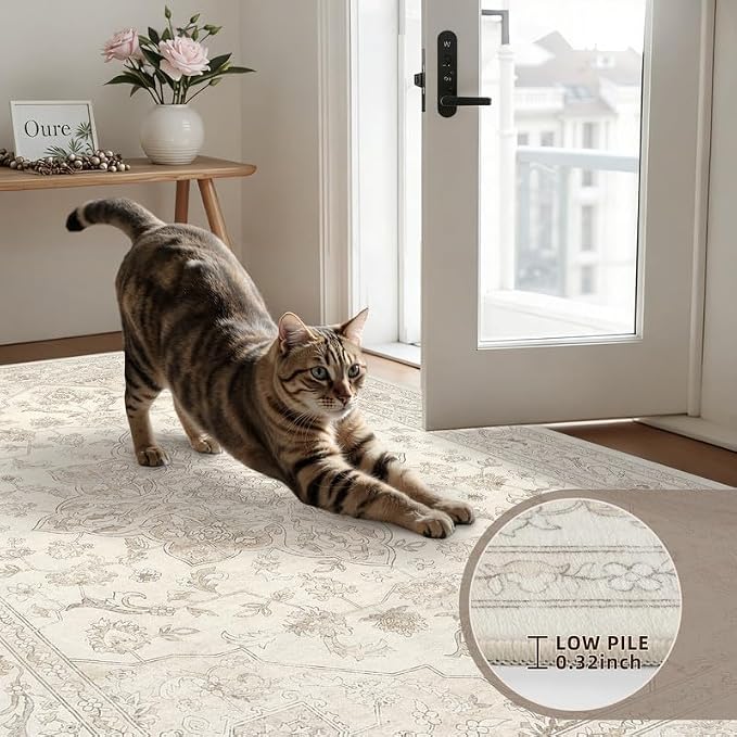 Round Area Rug Living Room: 8ft Washable Carpet Beige White | Vintage Boho - Image 6