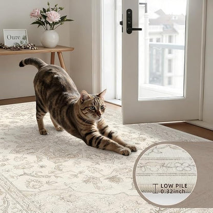 Round Area Rug Living Room: 8ft Washable Carpet Beige White | Vintage Boho - Image 6