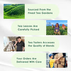 Tealeaf & Co. Classic Green Tea Loose Leaf - 100% Organic Green Tea - Contains Low Caffeine - Upto 50 Servings - Gluten Free (3.52oz/100gm)