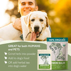 Super Value Pack 5 LB - Organic Lemon Balm Tea - Melissa Officinalis - Improve Sleep, Support Digestion, Lower Stress Levels