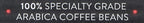 Brooklyn Beans Roastery Coffee Pods, Fall Flavored Pumpkin Spice - Compatible with Keurig K Cup Brewers Including 2.0 Machines, 40 Count
