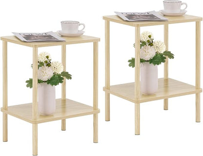 Apicizon 2 Tier End Table Set of 2, Small Side Table by APICIZON