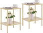 Apicizon 2 Tier End Table Set of 2, Small Side Table by APICIZON
