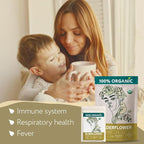Elderflower Tea Organic (4oz.) - Elder Flowers Dried Herb for Respiratory Health - Loose Leaf Medicinal Tea