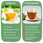 HANDPICK, Peppermint Tea, Eco-Conscious Tea Bags - 100 Count | Caffeine Free, Non-GMO | Minty, Fresh & Cool flavor | Direct From Source