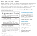 Grace Farms RISE Wellness Organic Tea Blend (100 Enveloped Pyramid Sachets w/ String & Tag) | Morning Energy & Focus | Earl Grey Crème with Adaptogenic Mushrooms and Ashwagandha | Fairtrade and Kosher | Gives Back 100% of Profits