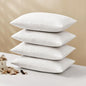 MIULEE 12x20 Pillow Inserts, Double-Layer Down-Proof Cotton Cover, Decorative by MIULEE