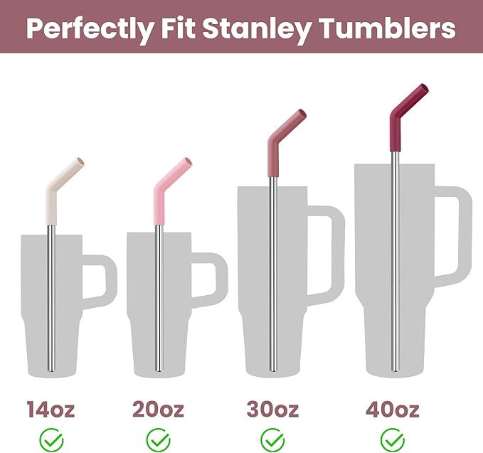 Tomorotec 6-Pack Stainless Steel Reusable Straw with Silicone Tip 3 Sizes, Metal Drinking Straws Fit for Stanley Quencher Tumblers 40oz, 30oz, 20oz, 14oz, Cleaning Brushes Included (Gradient)