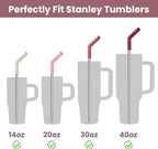 Tomorotec 6-Pack Stainless Steel Reusable Straw with Silicone Tip 3 Sizes, Metal Drinking Straws Fit for Stanley Quencher Tumblers 40oz, 30oz, 20oz, 14oz, Cleaning Brushes Included (Gradient)