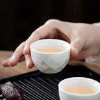 ICHAG Chinese Tea Set, Gongfu Tea Sets for Adults, China Gaiwan Teaset, 14-Piece Yangzhi Jade (茶具) Porcelain Set with Suspended Gaiwan & Tea Pet, Portable Travel Teaset for Home, Outdoor, Office Gifts