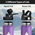 SENDESTAR Water Bottle 24oz Double Wall Vacuum Insulated Leak Proof Stainless Steel Sports Water Bottle—Wide Mouth with New Flex Straw Lid & Spout Lid (Havana)
