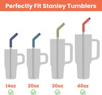 Tomorotec 6-Pack Reusable Stainless-Steel Straws with Silicone Tips, 3 Sizes Compatible with Stanley Tumblers 40OZ 30OZ 20OZ 14OZ, Dishwasher Safe, Includes 2 Cleaning Brushes (Dark Rainbow)