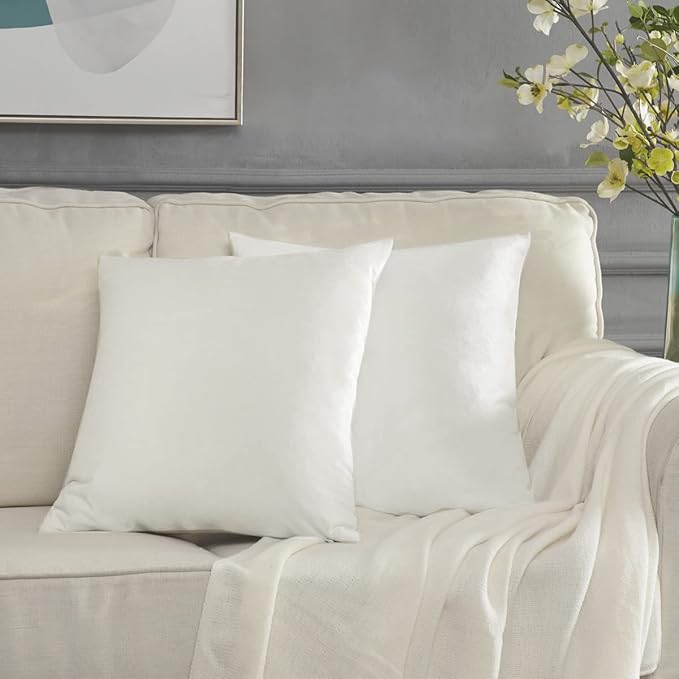 GIGIZAZA Decorative Couch Throw Pillow Covers, Pillow Cases Velvet Pillow Covers by GIGIZAZAFocusingonhomedecoration