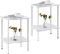 Apicizon 2 Tier End Table Set of 2, Small Side Table by APICIZON