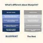 Blueprint by Bryan Johnson Super Shroom Coffee – Mushroom Coffee with Lion’s Mane, Reishi & GABA – 70mg Caffeine – Focus & Energy Coffee – Adaptogenic Coffee Alternative – 30 Servings