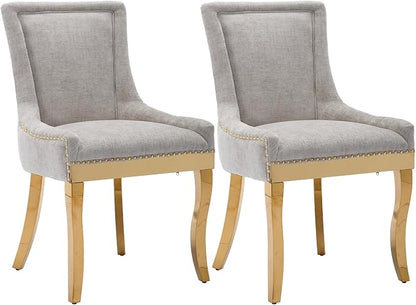 Upholstered Dining Chairs Set of 2, Modern Fabric Side Chairs by MZDOO