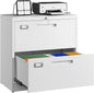 Letaya 2 Drawer File Cabinets by LetayaMetalCabinets
