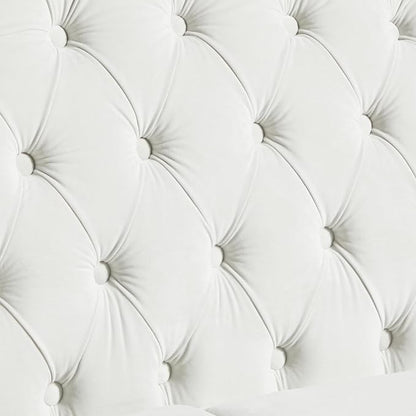 LEVNARY Chesterfield Loveseat Velvet, Upholstered Sofa - Image 5
