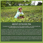 Octavius Assorted Tea Gift Set | 6 Flavored Black & Green Teas | 30 Premium Teabags in Each Box | Wooden Tea Sampler with Taj Mahal Design | Luxury Tea Gift Box | Pack of 2