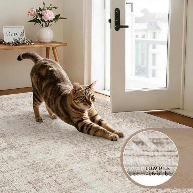 Washable Area Rugs 2x3: Neutral Living Room Bedroom Carpet Brown | Vintage Boho - Image 6