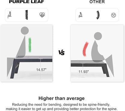 PURPLE LEAF Outdoor Chaise Lounge Set of 2 Aluminum Patio Lounge Chair - Image 6