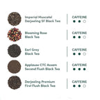 VAHDAM, Assorted Black Tea Loose Leaf Tea Gift Set (10 Flavors) Gift Ideas for Women & Men | Directly Sourced From Assam and Darjeeling | Resealable Ziplock Pouch | Gifts for Him/Her