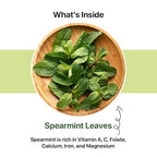 BLUE TEA - Spearmint Tea - 100 Count - Pyramid Plant Based Tea Bag | PCOS RELIEF | Balances Hormones - Support Digestion | Refreshing Flavour - Herbal Tea - Leaf Based - Caffeine free | Ziplock Pouch