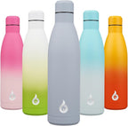 BJPKPK 25oz Insulated Stainless Steel Water Bottles Reusable Metal Travel Sports Water Bottle Keep Cold and Hot,Mist Grey
