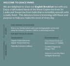 Grace Farms Organic English Breakfast Black Tea, 16 Pyramid Sachets | Fairtrade & Kosher |Gives Back 100% of Profits