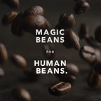 Kicking Horse Coffee Decaf, Swiss Water Process, Dark Roast, Whole Bean, Certified Organic, Fairtrade, Kosher, Black, 35.274 Oz, Pack of 6