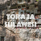 Toraja Sulawesi White Eagle Coffee, Fair Trade, Ground, Fresh Roasted, 5 lbs